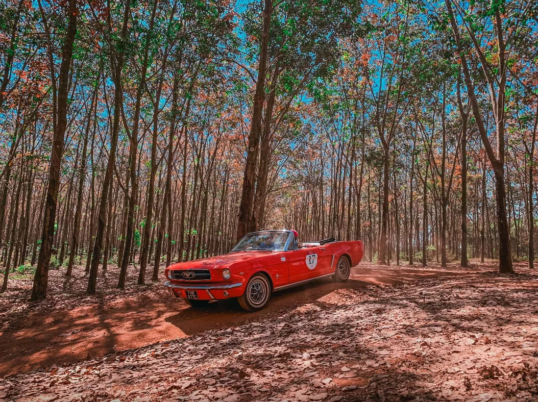 Ford Mustang Convertible.